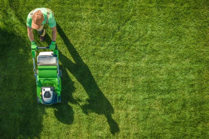 Realizzazione e manutenzione del verde